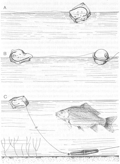 What methods to catch carp