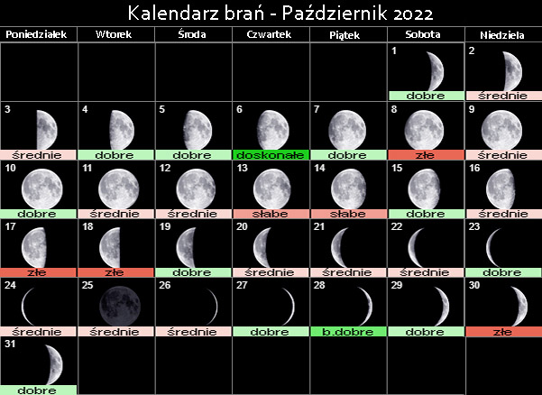 Kalendarz brań ryb - Październik 2022